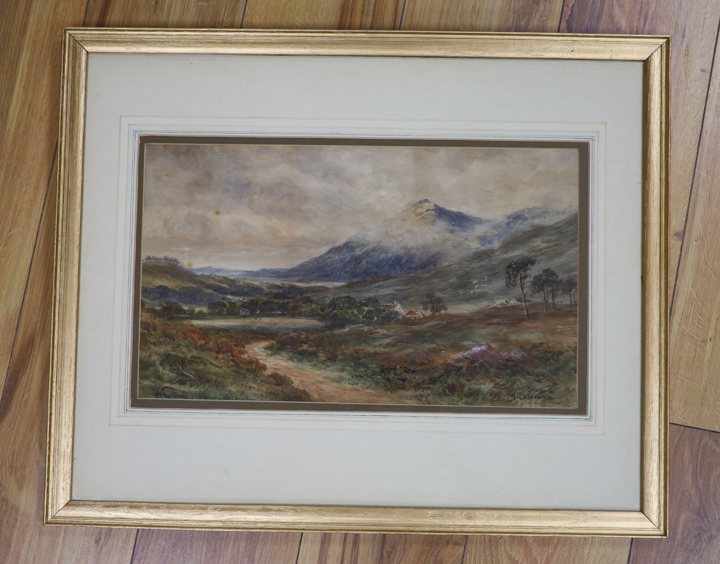 A. Coleman (19th C.), watercolour, Welsh landscape, signed, 25 x 43cm